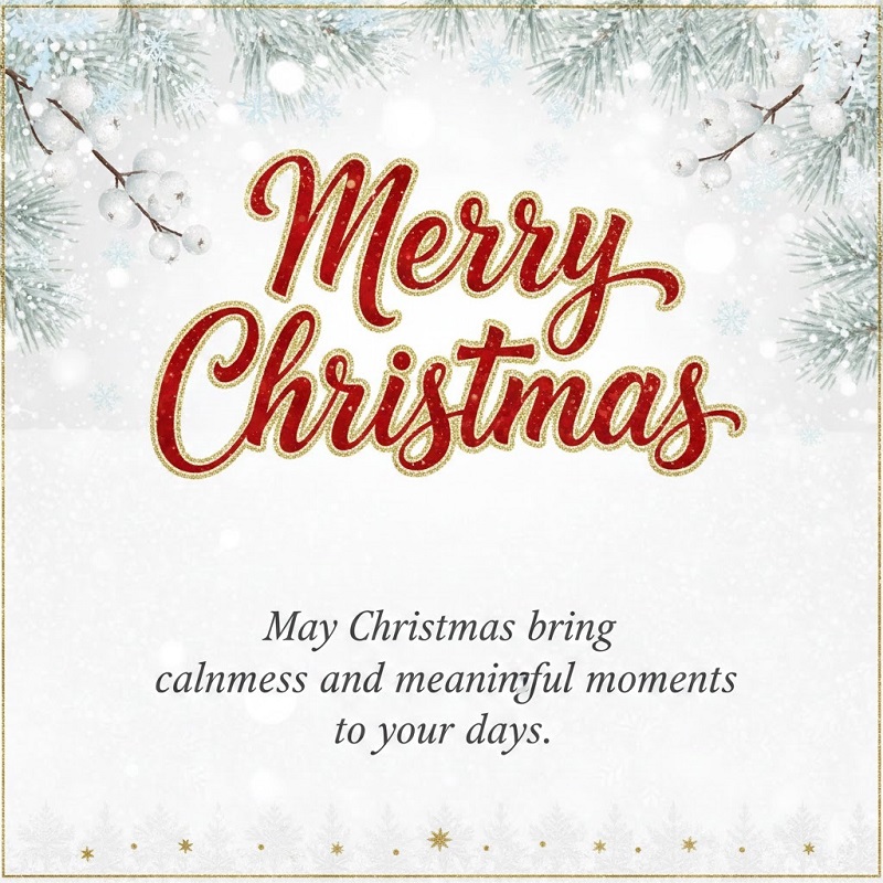 Chrismtas wishes for team 2025